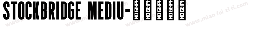 Stockbridge Mediu字体转换